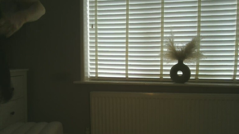 FlirtyWithFreya's Streamate show and profile